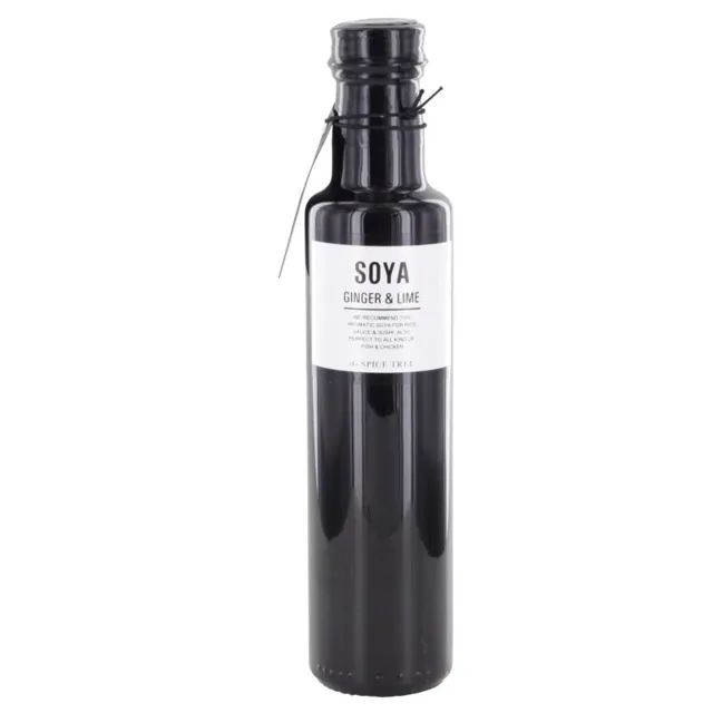 soja-ginger-&-lime TST Soya Ginger & Lime 250ml SALE!